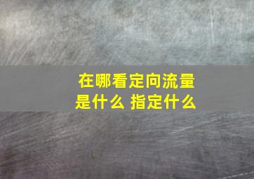 在哪看定向流量是什么 指定什么